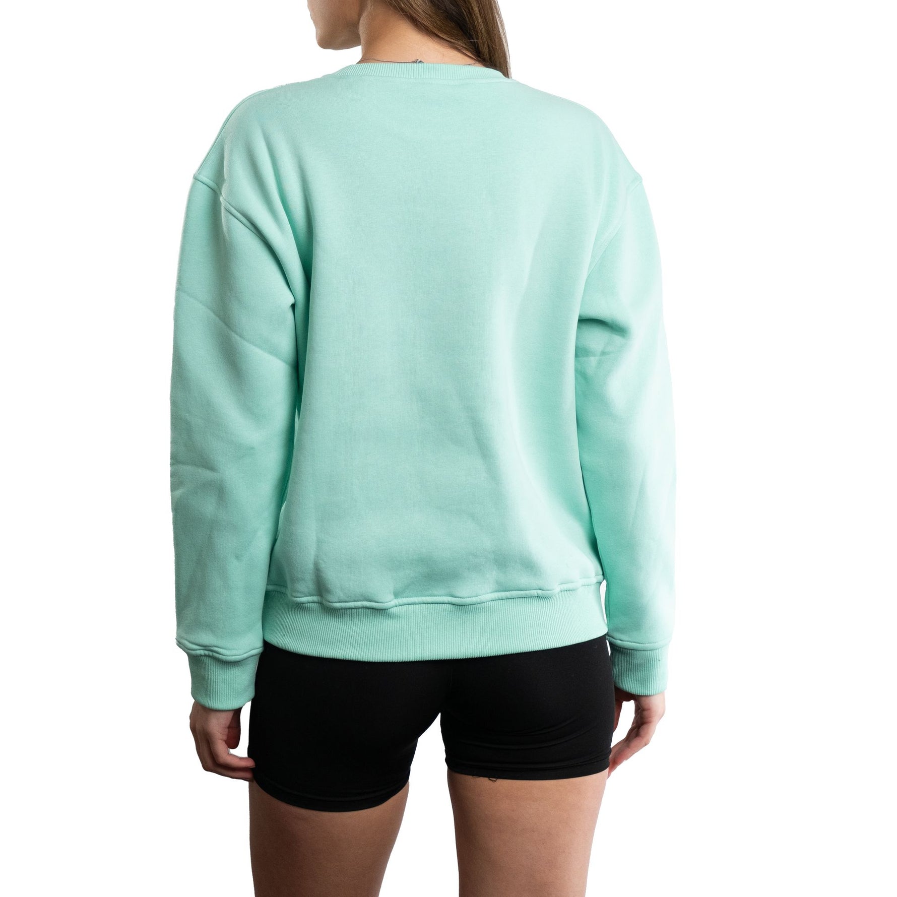 Urban Badger Sweatshirt Turquoise Polaroid